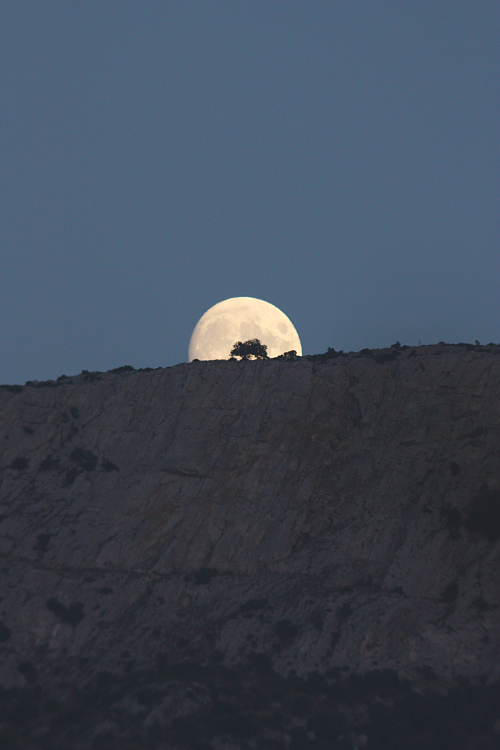 Luna Fraigada Tuttavista