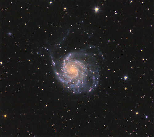 GALASSIA M101